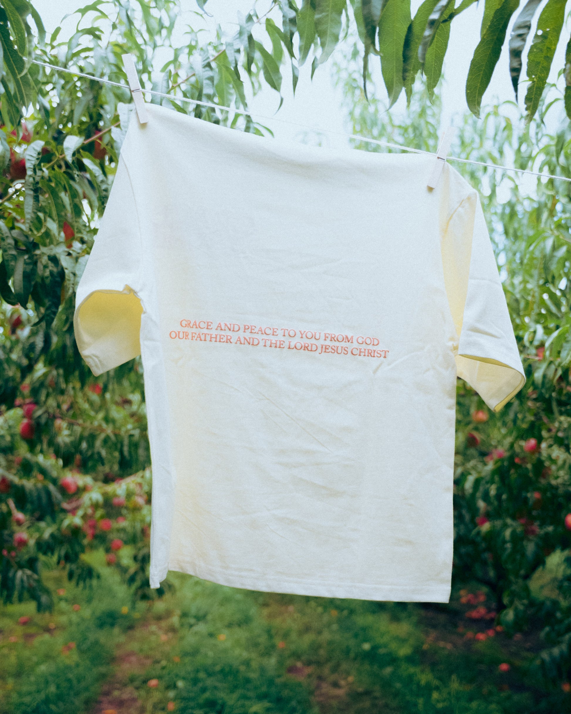 Cream tshirt with peach text hanging on a clothesline surrounded in a peach orachard .