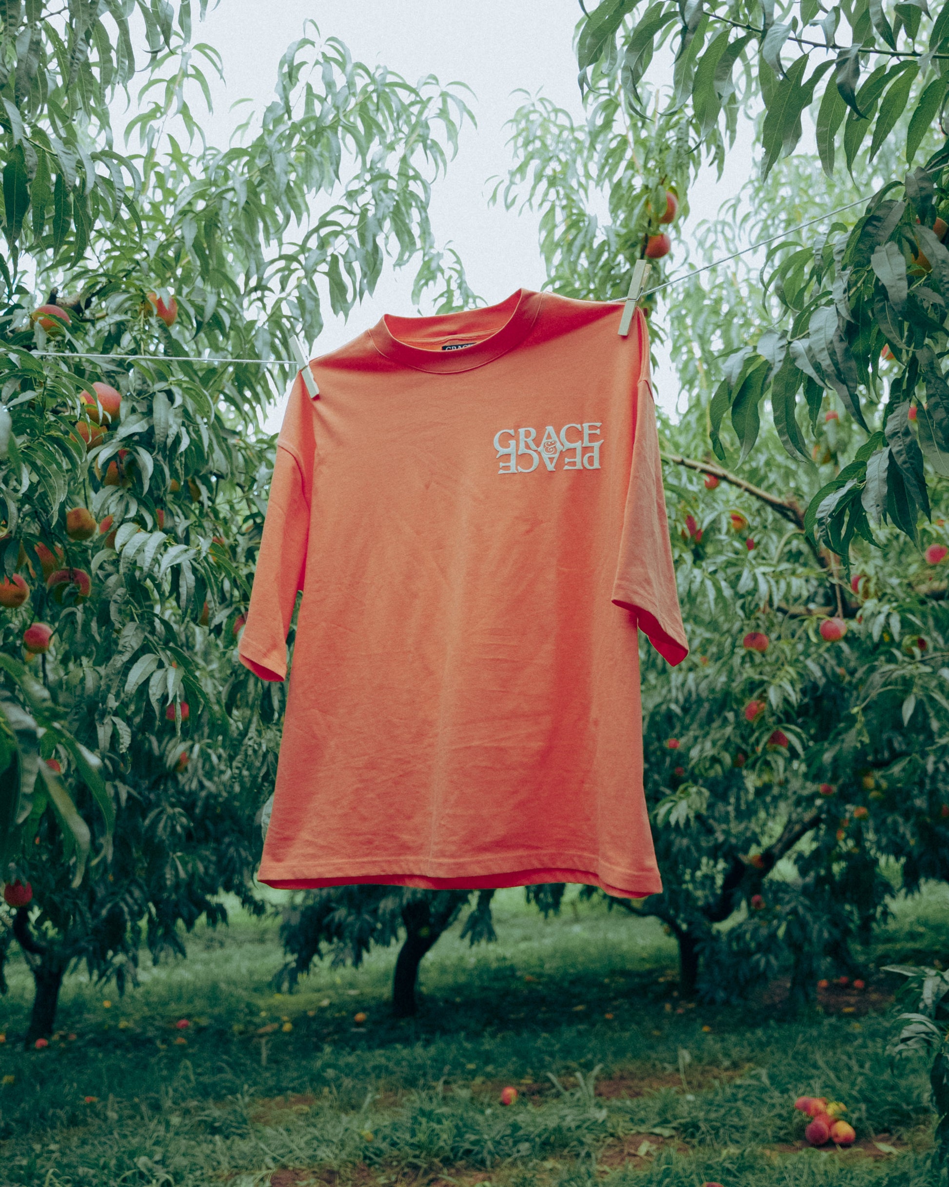 peach shirt in a orachard 