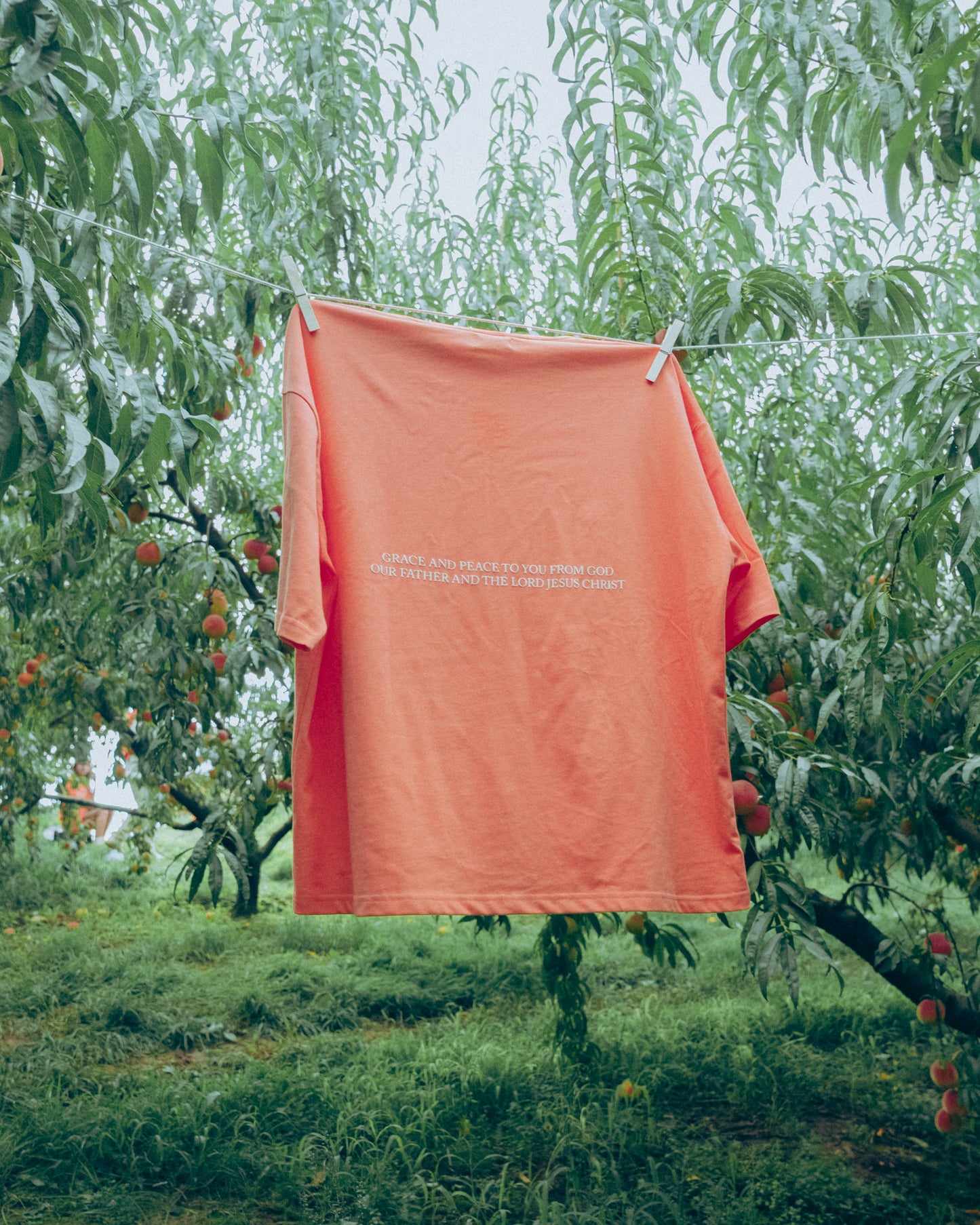 peach  t-shirt with text hanging on a clothesline in an orchard.