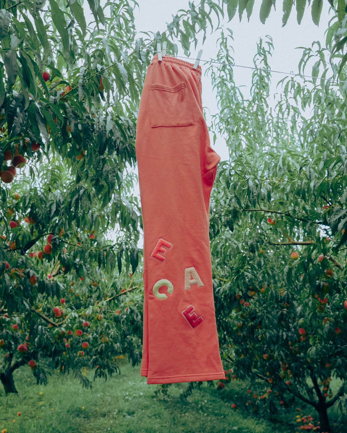 Peach-colored towel with 'ECA' text hanging between peach trees in an orchard.