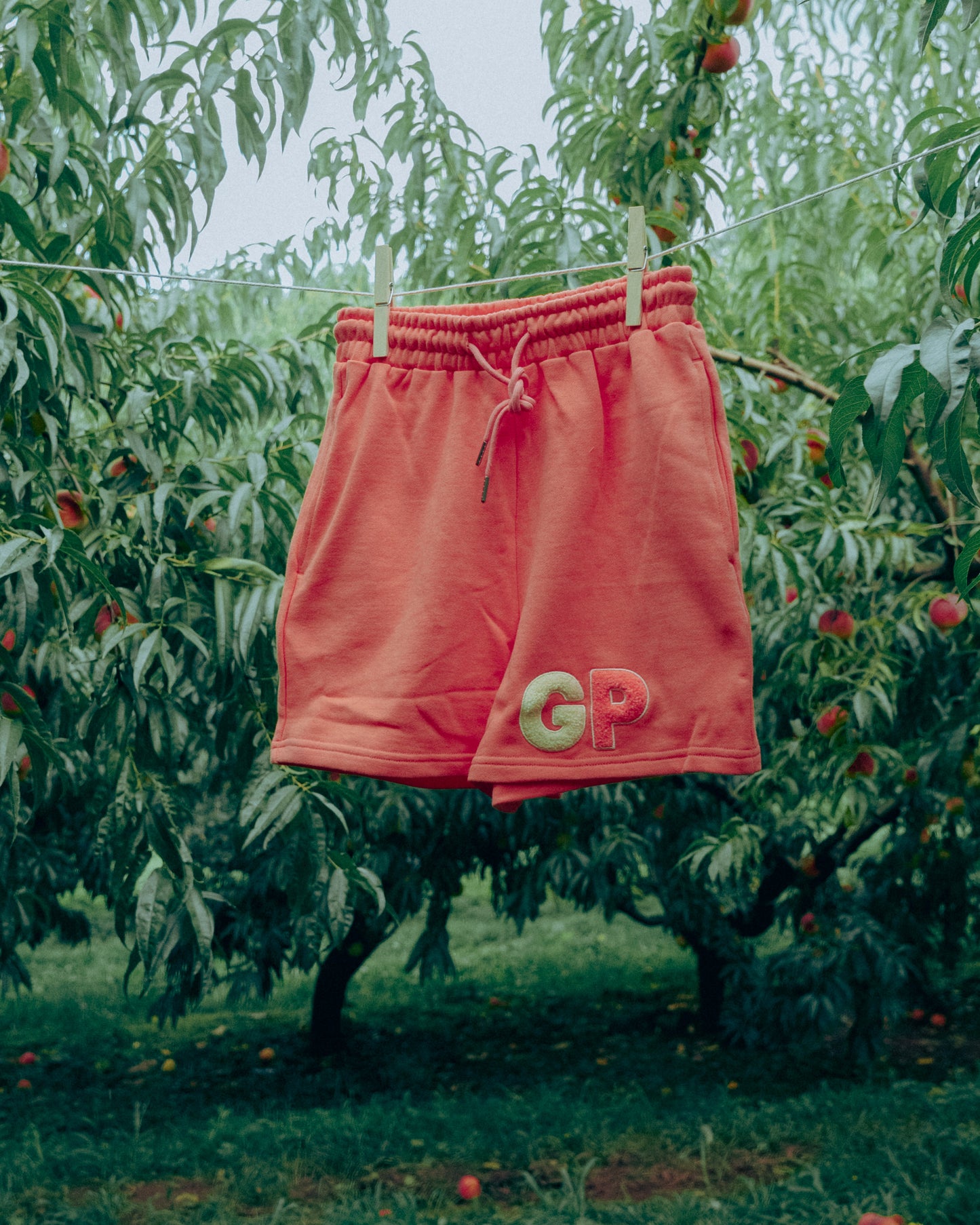Peach shorts with 'GP' logo hanging on a clothesline in an orchard.