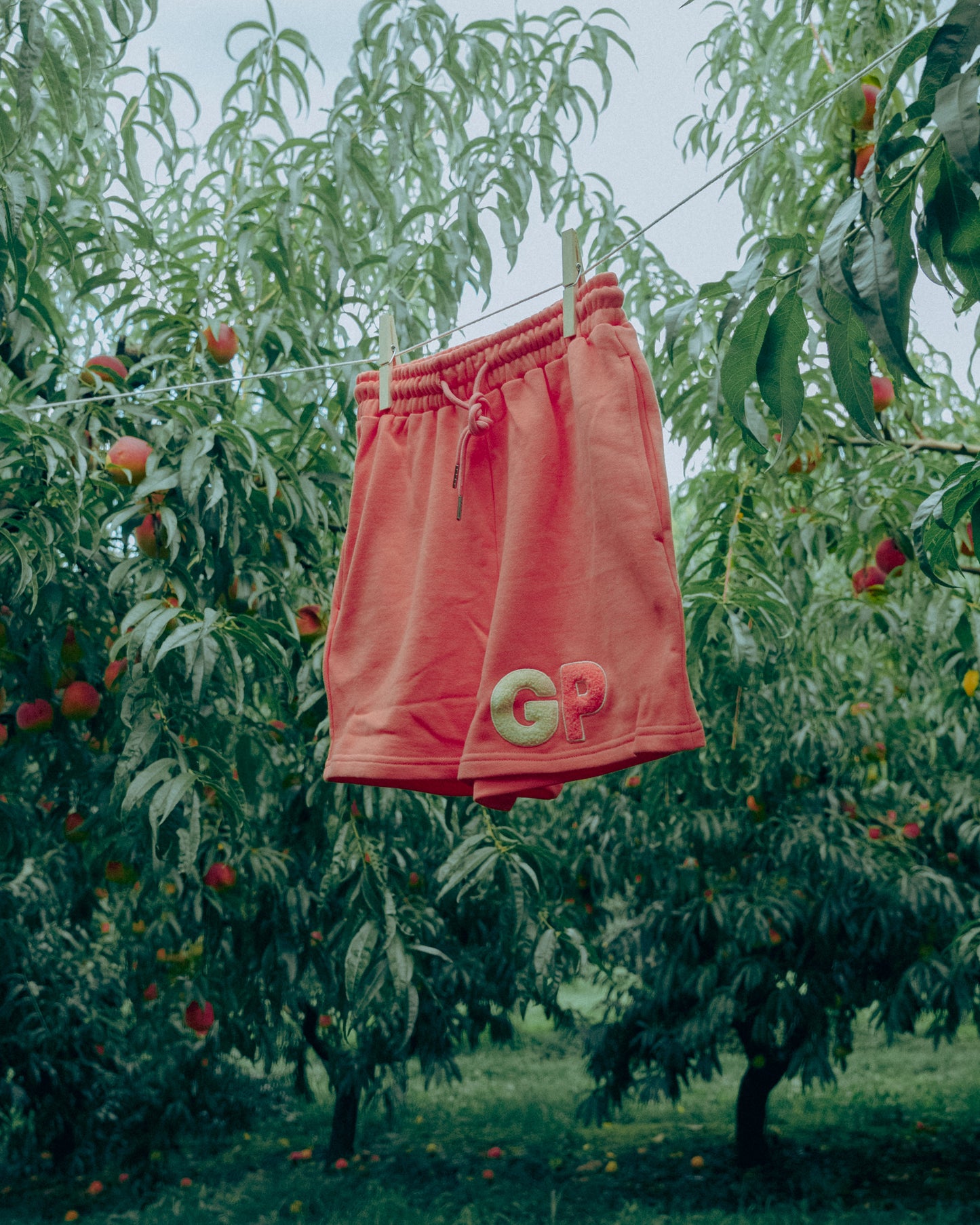 Peach shorts with 'GP' logo hanging on a clothesline in an orchard.